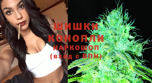 прущие крисы Алзамай