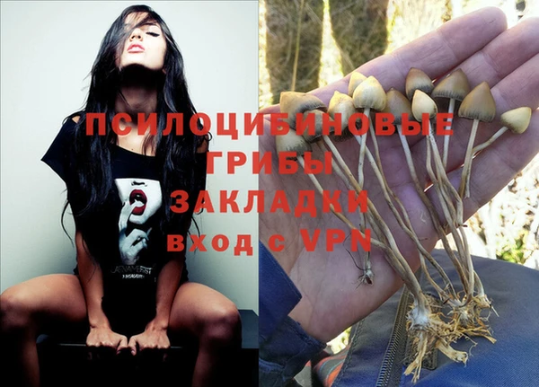 прущие крисы Алзамай