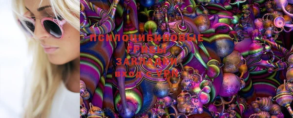 прущие крисы Алзамай