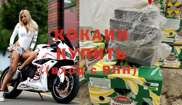 прущие грибы Краснотурьинск