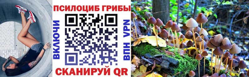 Галлюциногенные грибы Cubensis  где купить наркоту  Боровск 